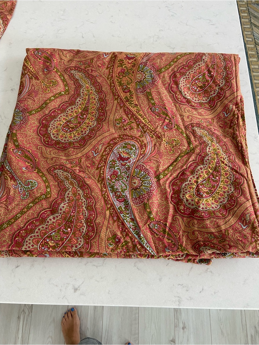 Pottery Barn Queen Duvet Cover with 2 Euro Shams
